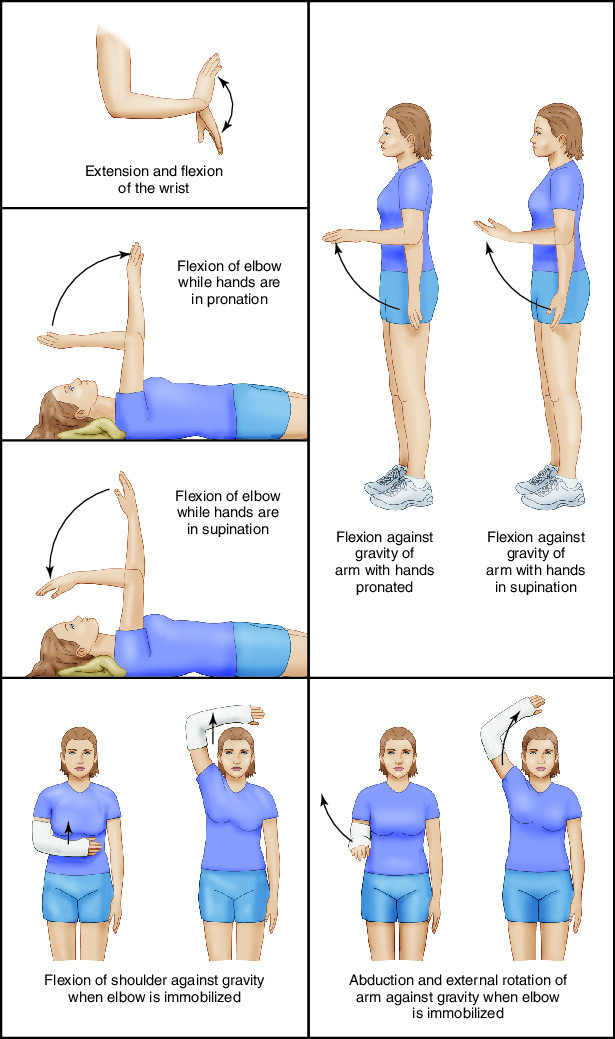 Isometric exercises nursing sale